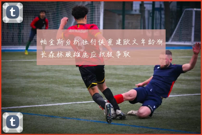 帕金斯分析独行侠重建欧文年龄渐长森林狼雄鹿应积极争取