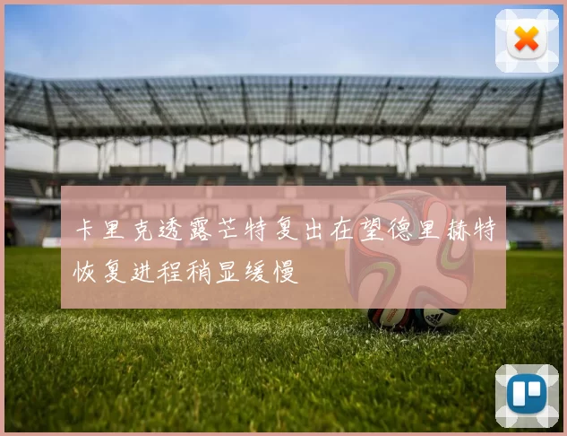 卡里克透露芒特复出在望德里赫特恢复进程稍显缓慢